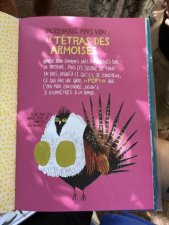 Tétras des armoises