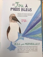 Fou à pieds bleus