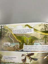 Diplodocus 
