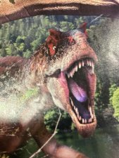 Allosaurus