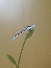 Agrion