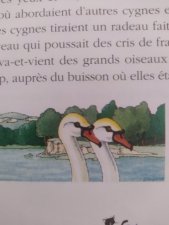 CYGNES