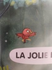 Oiseau
