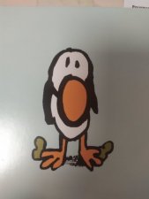 Pingouin
