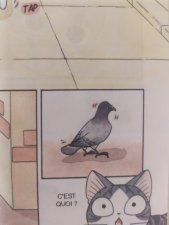 Oiseau