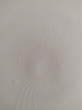 oiseau
