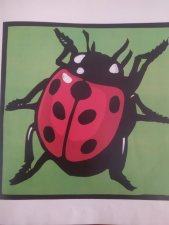coccinelle