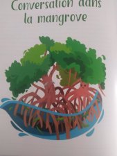 Mangrove