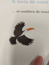 Toucan