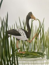 La canaroie semipalmée