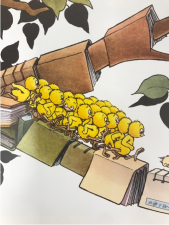 Oiseaux (poussins)