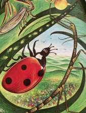 Coccinelle