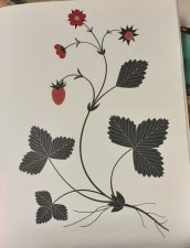 Fraisier des bois