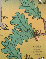Feuille de chêne