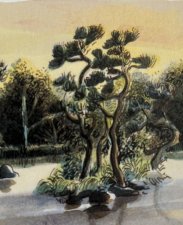 Un arbre 