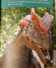 Dilophosaurus