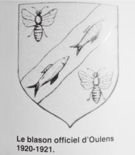 Hyménoptères - Abeille