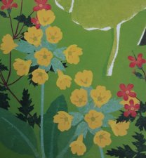 Primevère officinale