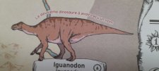 Iguanodon