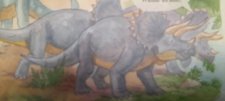Triceratops