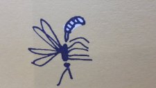 Libellule 