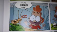 Mouche scorpion