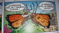 Monarque