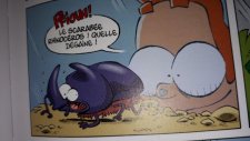 Scarabée rhinocéros