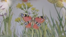 Papillon