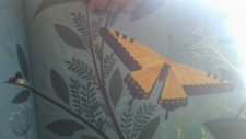 Papillon
