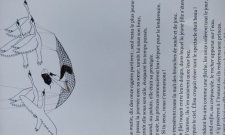 Cygnes