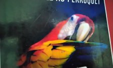 Perroquet
