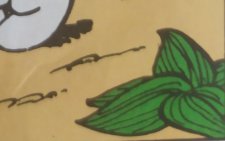 Salsepareille (en image mais on en parle pas dans ce tome ci)