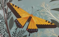 Papillon machaon