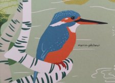 Martin-pêcheur