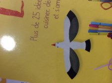 Une mouette 