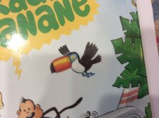 Toucan