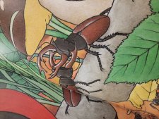 Cerf-volant