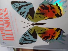 Papillon arc-en-ciel
