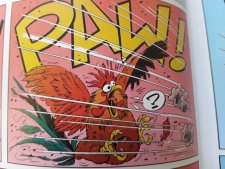 Le coq domestique