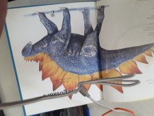 Stegosaure