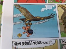 Aigle