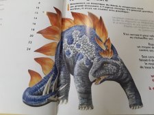 Stegosaure