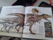 Tyrannosaure