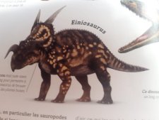 Einiosaurus