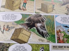 Aigle de Haast