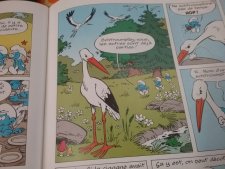 Cigogne