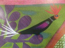 oiseau