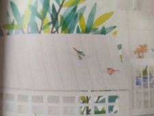 Oiseaux