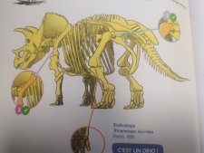 Dinosaure
